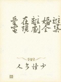 爱在离婚进行时电视剧全集免费观看