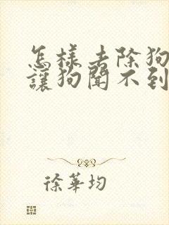 怎样去除狗尿味让狗闻不到