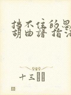 挡不住的思念二胡曲谱 指法