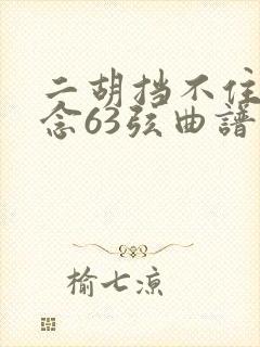 二胡挡不住的思念63弦曲谱