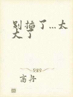 别插了...太大了