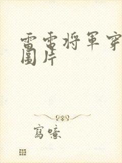 雷电将军穿黑丝图片