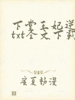 下堂王妃逆袭记txt全文下载