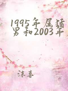 1995年属猪男和2003年属羊女的婚配