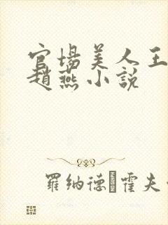 官场美人王局长赵燕小说