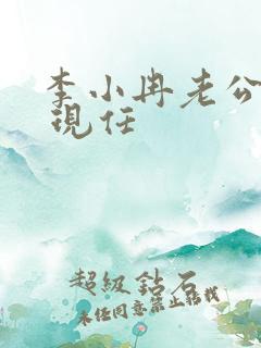 李小冉老公是谁 现任