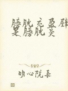 膀胱充盈壁毛糙是膀胱炎