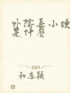 外阴长小硬疙瘩是什么