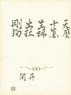 刚出生十天的小狗拉稀怎么办