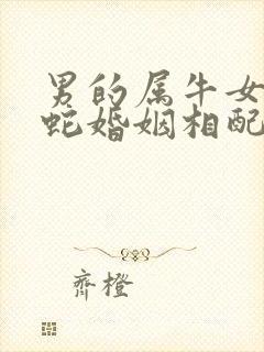 男的属牛女的属蛇婚姻相配吗