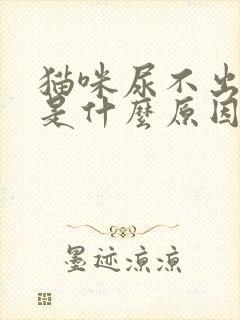 猫咪尿不出尿来是什么原因