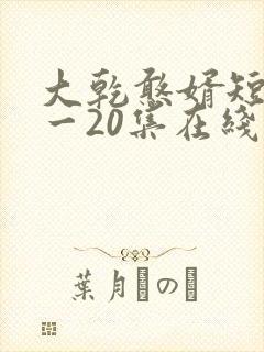 大乾憨婿短剧1一20集在线看