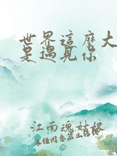 世界这么大,还是遇见你