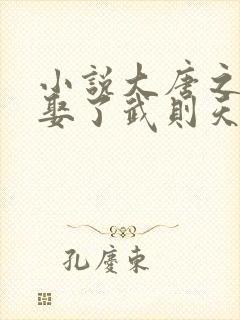 小说大唐之开局娶了武则天免费看