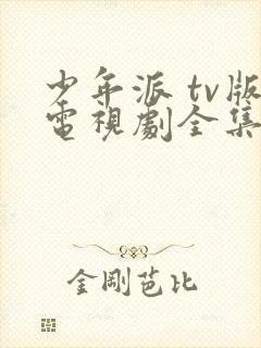 少年派 tv版电视剧全集免费