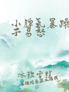 小脾气暴躁的孩子易怒