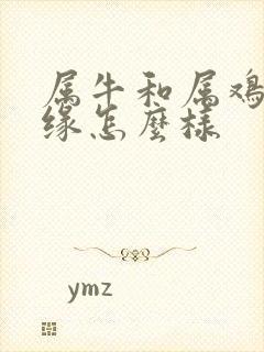 属牛和属鸡的姻缘怎么样