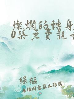 灿烂的转身第10集免费观看