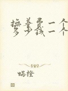 抚养费一个孩子多少钱一个月