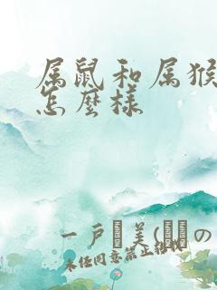 属鼠和属猴姻缘怎么样