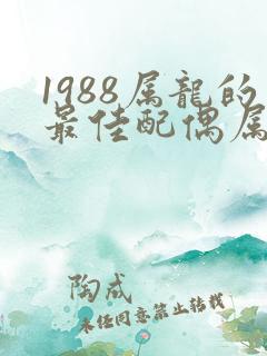 1988属龙的最佳配偶属相