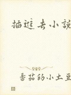 插进去小说男男