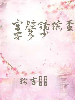 宫腔镜检查费用要多少