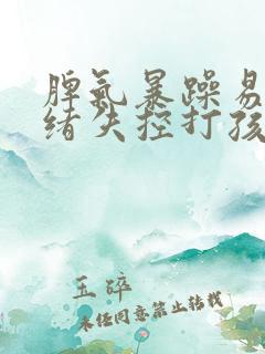 脾气暴躁易怒情绪失控打孩子