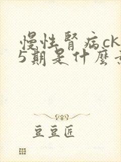 慢性肾病ckd5期是什么意思