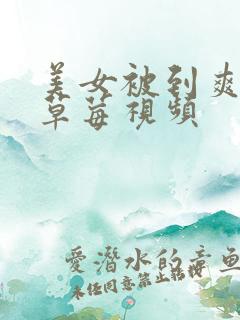 美女被到爽高潮草莓视频