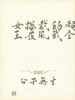 女总裁的超级兵王夜风武全