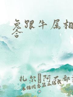 兔跟牛属相合不合