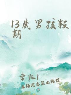 13岁男孩叛逆期