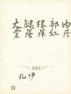 大腿根部内侧阴囊瘙痒红疹照片