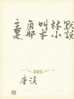 主角叫林默的人是哪本小说