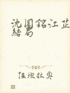 沈图铭江芷沅大结局