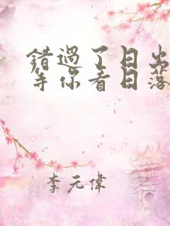 错过了日出我就等你看日落是什么歌