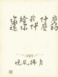 你给我什么我就还你什么的句子