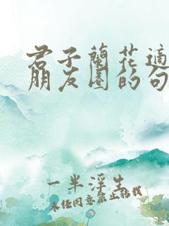 君子兰花适合发朋友圈的句子