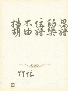 挡不住的思念二胡曲谱乐谱