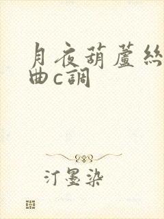 月夜葫芦丝伴奏曲c调