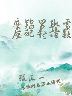 摩羯男与处女女座配对指数