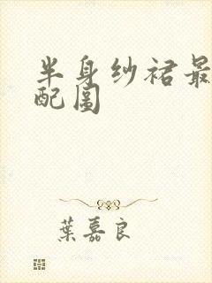 半身纱裙最佳搭配图