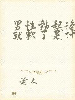 男性勃起后很快就软了是什么原因