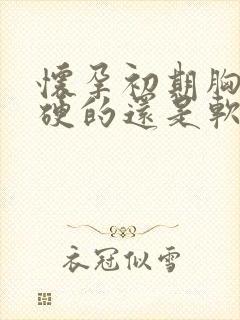 怀孕初期胸部是硬的还是软的