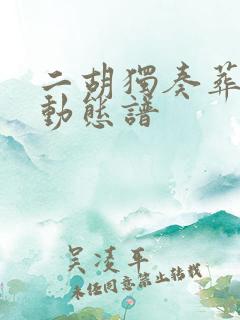 二胡独奏葬花吟动态谱