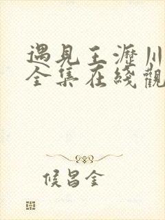 遇见王沥川免费全集在线观看剧情