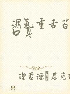 湿气重舌苔黄腻口臭