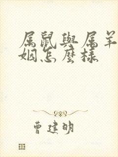 属鼠与属羊的婚姻怎么样