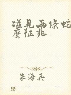 碰见两条蛇是什么征兆